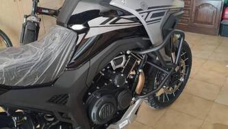 Morbidelli T1002VX (2024 - 25) usata