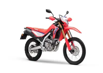 Honda CRF 300L (2025 - 26) - Annuncio 9199812