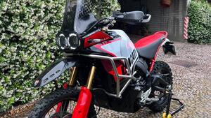 Ducati DesertX Rally (2024 - 25) 
