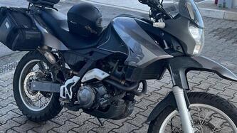 Aprilia Pegaso 650 Trail (2006 - 11) usata