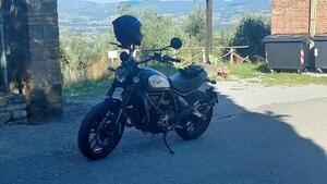 Ducati Scrambler 800 Icon (2021 - 22) 
