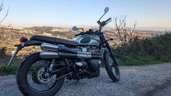 Triumph Street Scrambler 900 (2019 - 20) usata