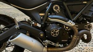 Ducati Scrambler 800 Icon (2017 - 20) 