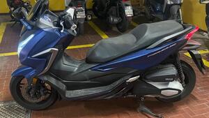 Honda Forza 350 (2022 - 24)
