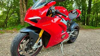Ducati Panigale V4 S 1100 (2018 - 19) usata