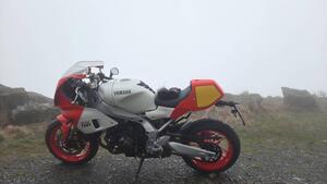 Yamaha XSR 900 GP (2024 - 25) 