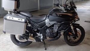 Voge Valico 500DSX (2021 - 24) 