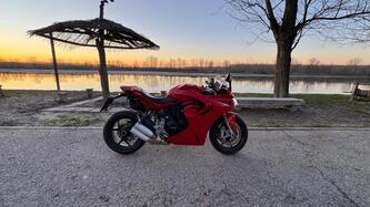 Ducati SuperSport 950 S (2021 - 24) usata