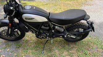 Ducati Scrambler 800 Icon (2021 - 22) usata