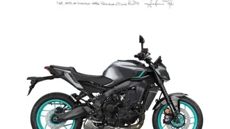 Yamaha MT-09 Y-AMT (2024 - 26) nuova
