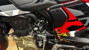 Ducati Hypermotard 698 Mono RVE (2024 - 25) 