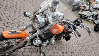 Harley-Davidson 1200 Custom (2007 - 13) - XL 1200C usata