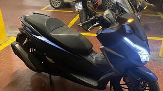 Honda Forza 350 (2022 - 24) usata
