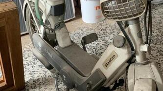 Piaggio Ciao 50 usata