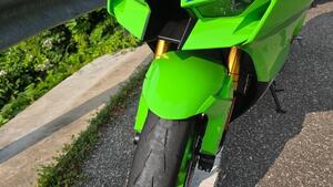 Kawasaki Ninja 1000 ZX-10R 40th Anniversary Edition (2024) 