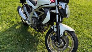 Suzuki Gladius 650 SFV (2009 - 15) 
