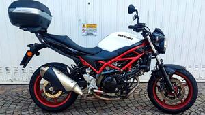 Suzuki SV650 (2021 - 24) 