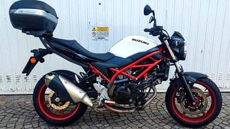 Suzuki SV650 (2021 - 24) usata