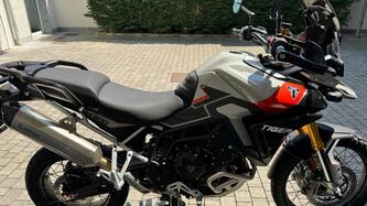 Triumph Tiger 900 Rally Pro (2024 - 25) usata