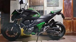 Kawasaki Z 800 Performance (2013 - 13) 