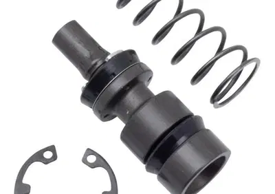 Revisione pompa freno posteriore per Vrod dal 2006 Zodiac - Annuncio 9738484