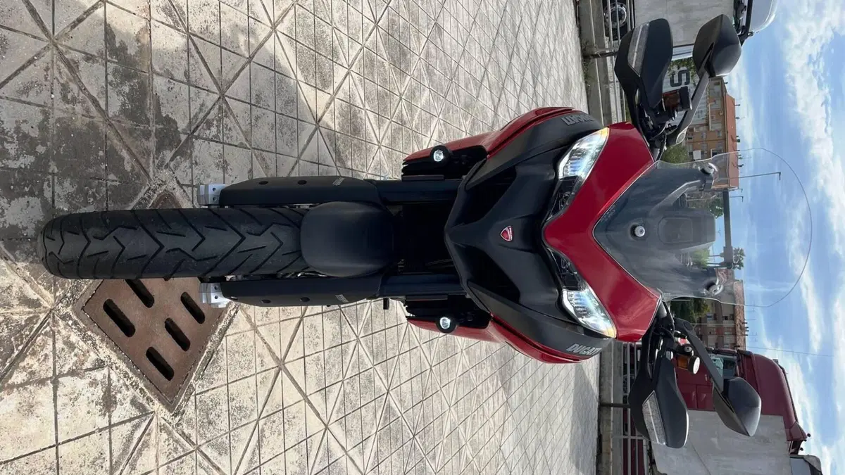 Ducati Multistrada 950 (2019 - 20)  (3)