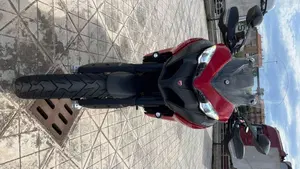 Ducati Multistrada 950 (2019 - 20)  (3)