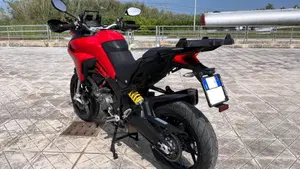 Ducati Multistrada 950 (2019 - 20)  (4)