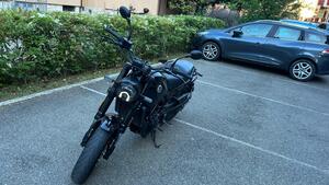 Benelli Leoncino 500 (2021 - 25) 