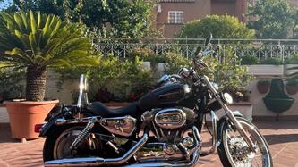 Harley-Davidson 883 Custom (2008 - 12) - XL 883C usata