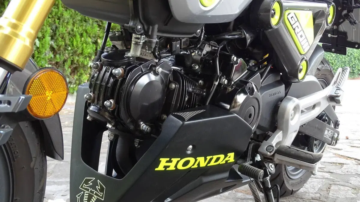 Honda MSX 125 Grom (2021 - 26)  (13)