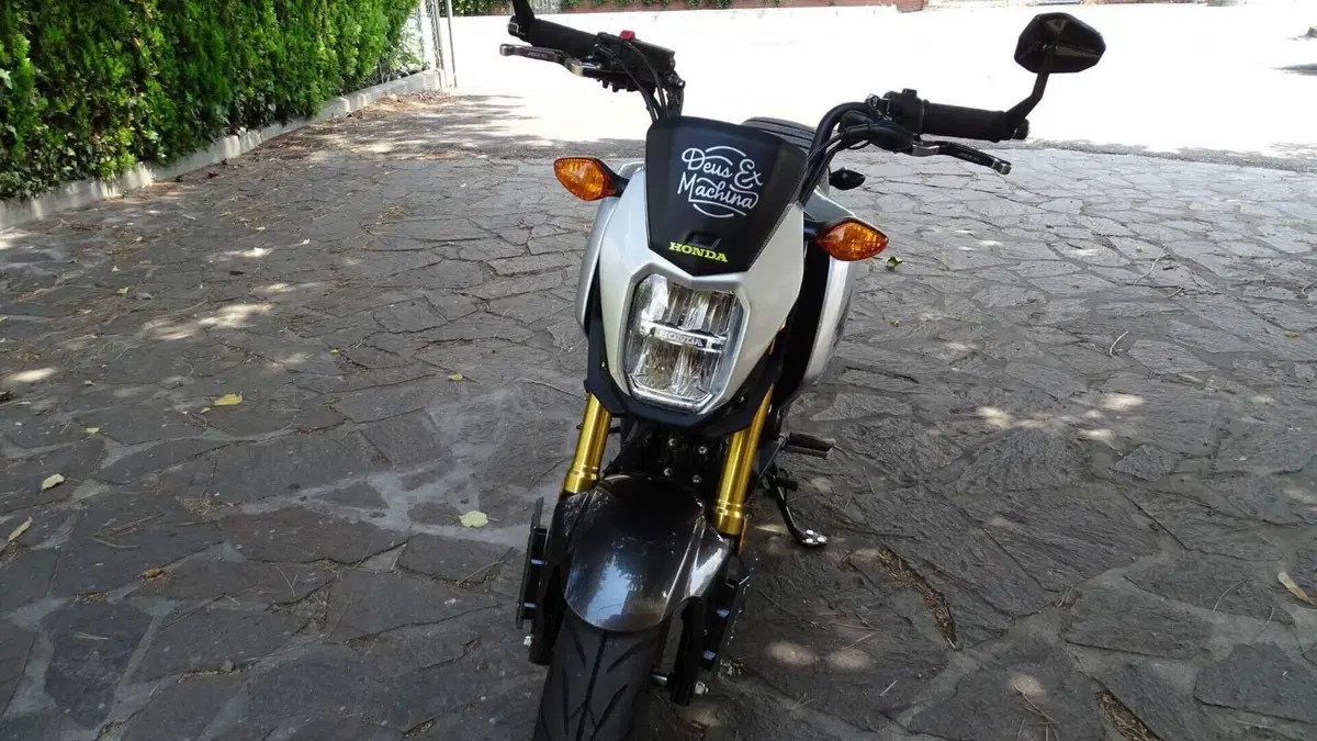Honda MSX 125 Grom (2021 - 26)  (5)