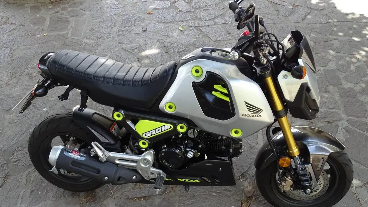 Honda MSX 125 Grom (2021 - 26)  (18)