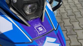 Suzuki V-Strom 800DE (2023 - 24) usata