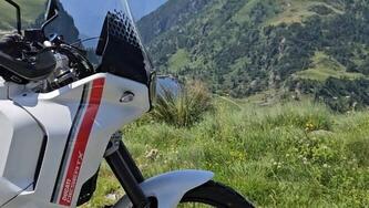 Ducati DesertX (2022 - 25) usata