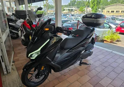 Honda Forza 350 (2025 - 26) - Annuncio 9739827
