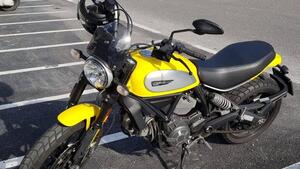 Ducati Scrambler 800 Icon (2017 - 20) 