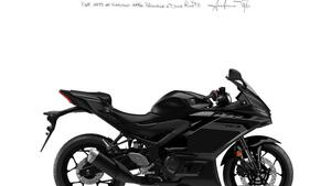 Yamaha YZF R3 (2025) 