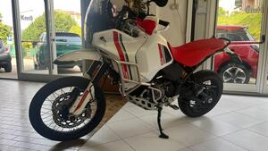 Ducati DesertX (2022 - 25) 