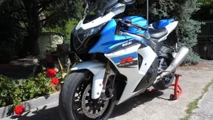 Suzuki GSX-R1000 (2009 - 11)  (3)