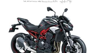 Kawasaki Z 900 (2021 - 24) nuova