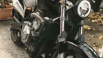 Honda Hornet 600 (2000 - 02)