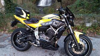 Yamaha MT-07 (2014 - 16) usata