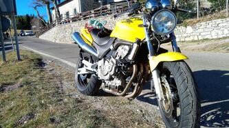 Honda Hornet 600 (2003 - 04) usata