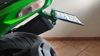 Kawasaki ZZR 1400 ABS S.E. (2013 - 16) usata