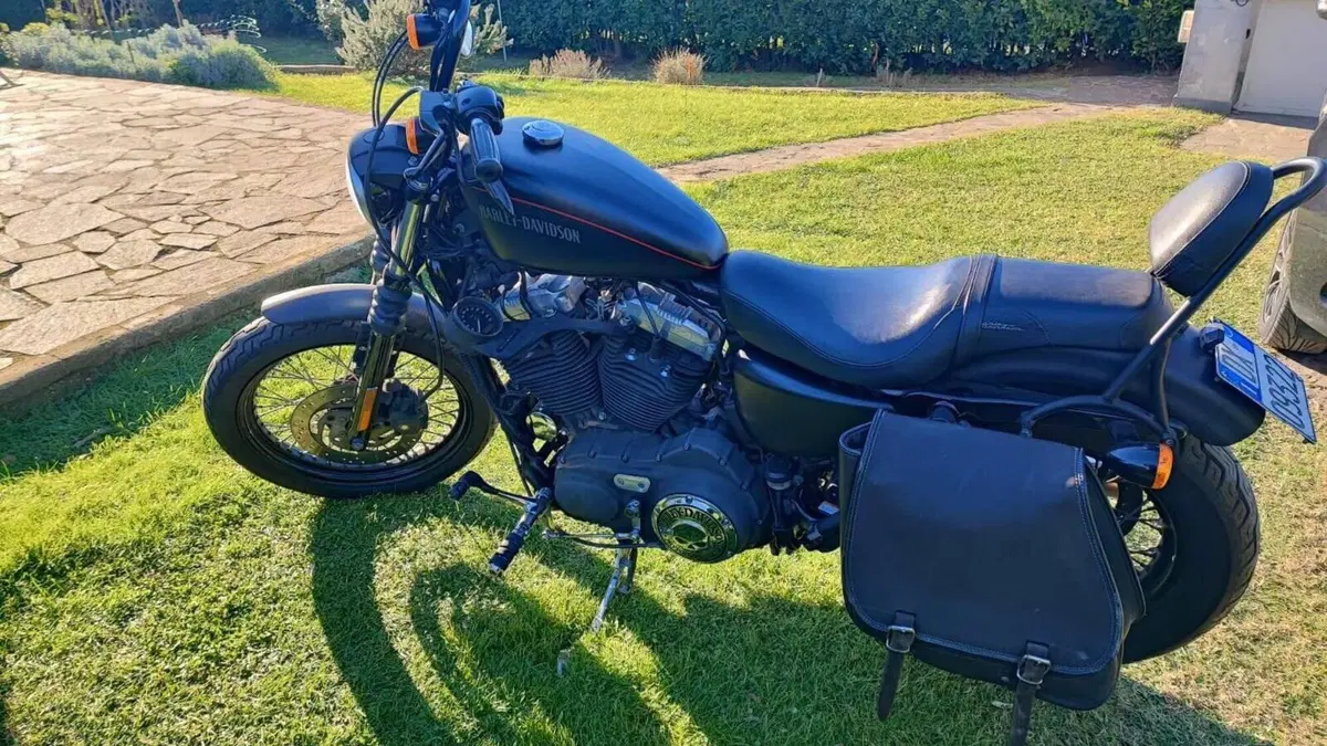 Harley-Davidson 1200 Custom (2007 - 13) - XL 1200C  (7)