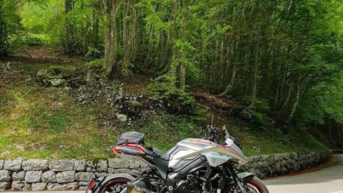 Suzuki Katana 1000 Jindachi (2019 - 20)  (2)