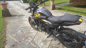 Voge Trofeo 525ACX Scrambler (2023 - 25) 