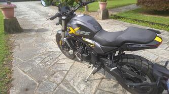Voge Trofeo 525ACX Scrambler (2023 - 25)