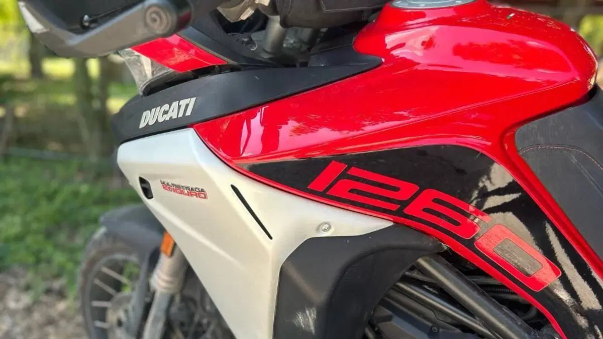 Ducati Multistrada 1260 Enduro (2019 - 21)  (3)